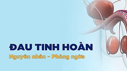 Đừng Xem Nhẹ Đau Tinh Hoàn: Nhận Diện Nguy Cơ Tiềm Ẩn!