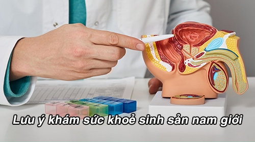Khám sức khỏe sinh sản nam giới: Bạn cần lưu ý những điều gì?