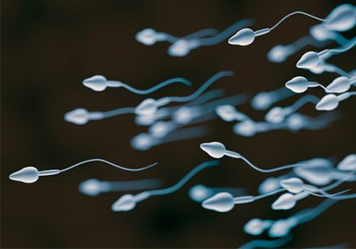 Cách chữa tinh trùng loãng được bác sĩ khuyên dùng hiện nay