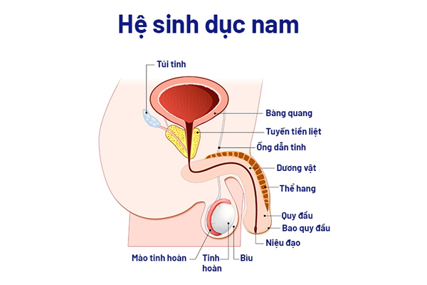 Bệnh viện cắt bao quy đầu tại Đắk Lắk