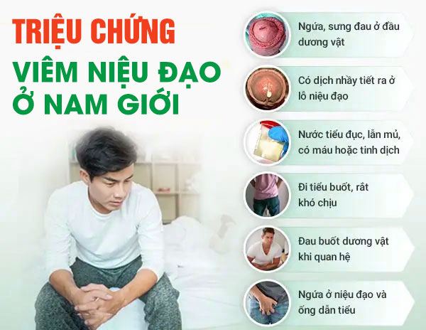 06 TRIỆU CHỨNG NHẬN BIẾT VIÊM NIỆU ĐẠO Ở NAM GIỚI CHÍNH XÁC