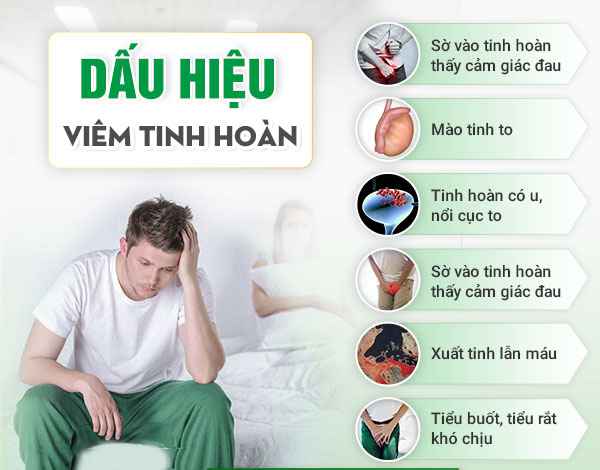 CẢNH BÁO 5 DẤU HIỆU VIÊM TINH HOÀN NHIỀU NAM GIỚI CHỦ QUAN