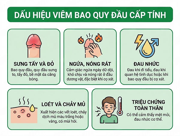 TRIỆU CHỨNG VIÊM BAO QUY ĐẦU VÀ CÁCH NHẬN BIẾT CHÍNH XÁC