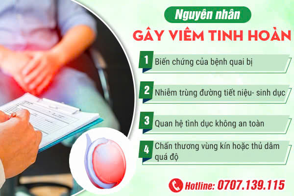 VÌ SAO NAM GIỚI BỊ VIÊM TINH HOÀN? BÁC SĨ GIẢI ĐÁP CHI TIẾT