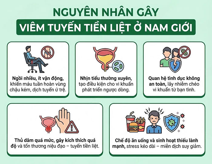 07 NGUYÊN NHÂN GÂY VIÊM TUYẾN TIỀN LIỆT KHIẾN NAM GIỚI BẤT NGỜ